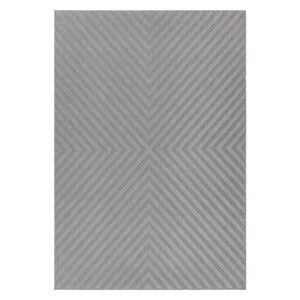Svetlosivý koberec Asiatic Carpets Antibes, 160 x 230 cm
