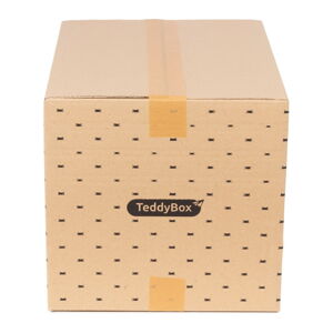 Súprava 2 béžových úložných boxov Compactor Teddy, 42 x 30 cm