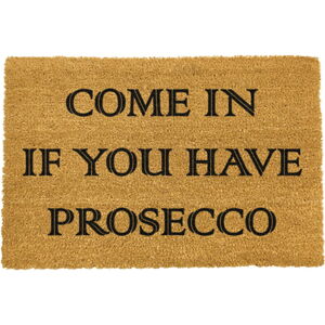 Rohožka z kokosového vlákna 40x60 cm Prosecco – Artsy Doormats
