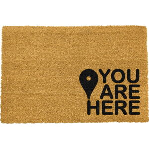 Sivá rohožka z prírodného kokosového vlákna Artsy Doormats You Are, 40 x 60 cm