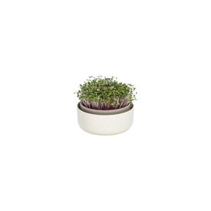 Klíčiaca miska, ø 16 cm Microgreens - Plastia