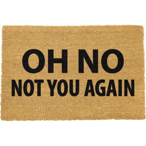 Rohožka z prírodného kokosového vlákna Artsy Doormats Not You Again, 40 x 60 cm